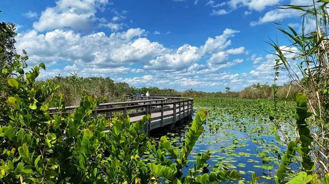 Image: Visiting the Florida Everglades National Park – My Favorite Things to Do
