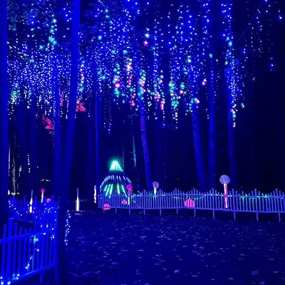 Glenlore Trails: Aurora Established in 2020, this one-mile technologically enhanced nature walk claims to be Michigan’s largest, with interactive light and sound displays. New this year are “magic wands” that can unlock surprises along the trail. Through Dec. 29 at Glenlore Trails; 3860 Newton Rd., Commerce Twp.; glenloretrails.com. Tickets are $15-$25.